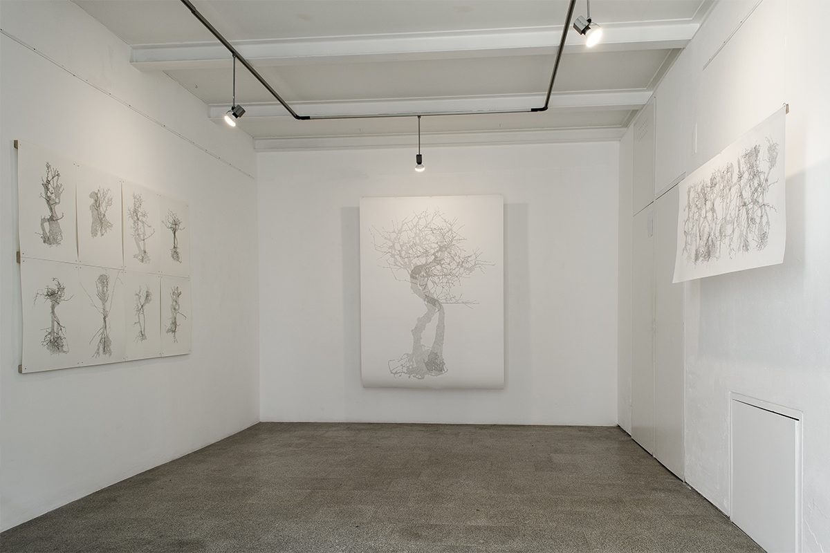 ECM_DSC_0890_1200-800