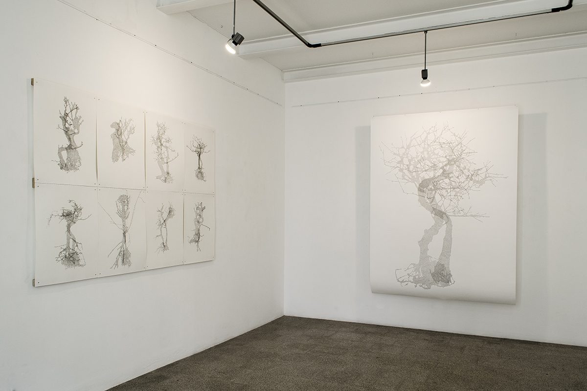 ECM_DSC_0891_1200-800