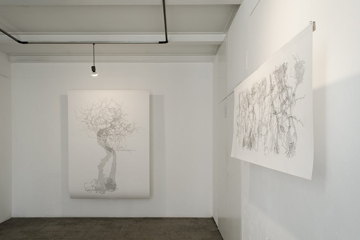 ECM_DSC_0894_1200-800