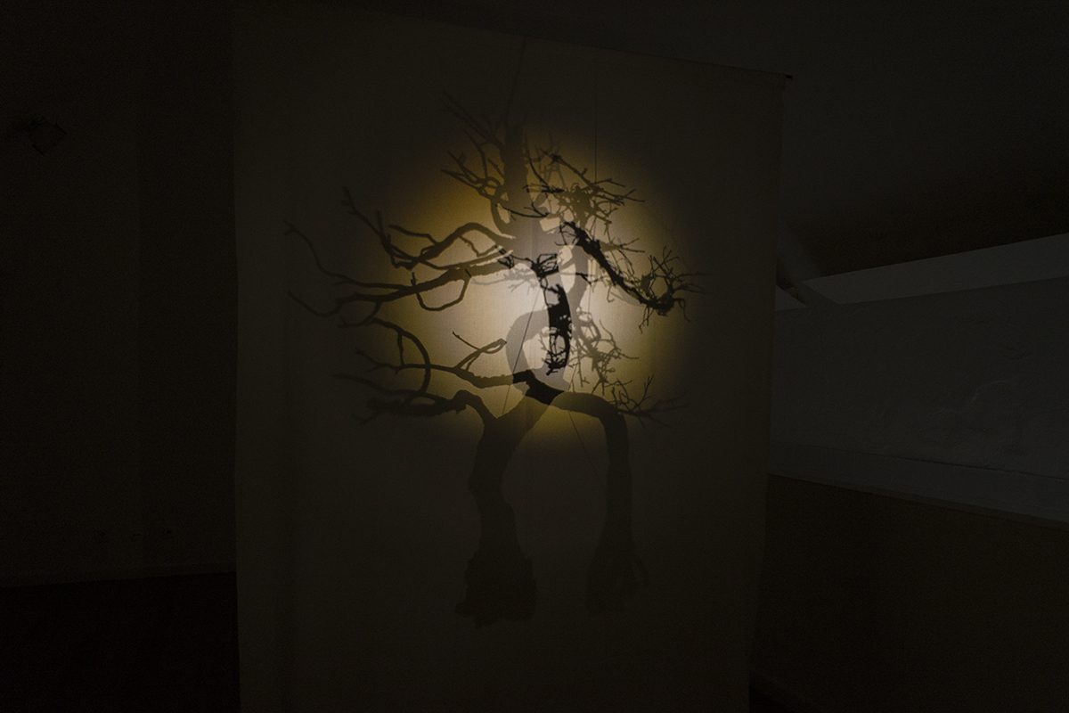 ECM_DSC_0909_1200-800