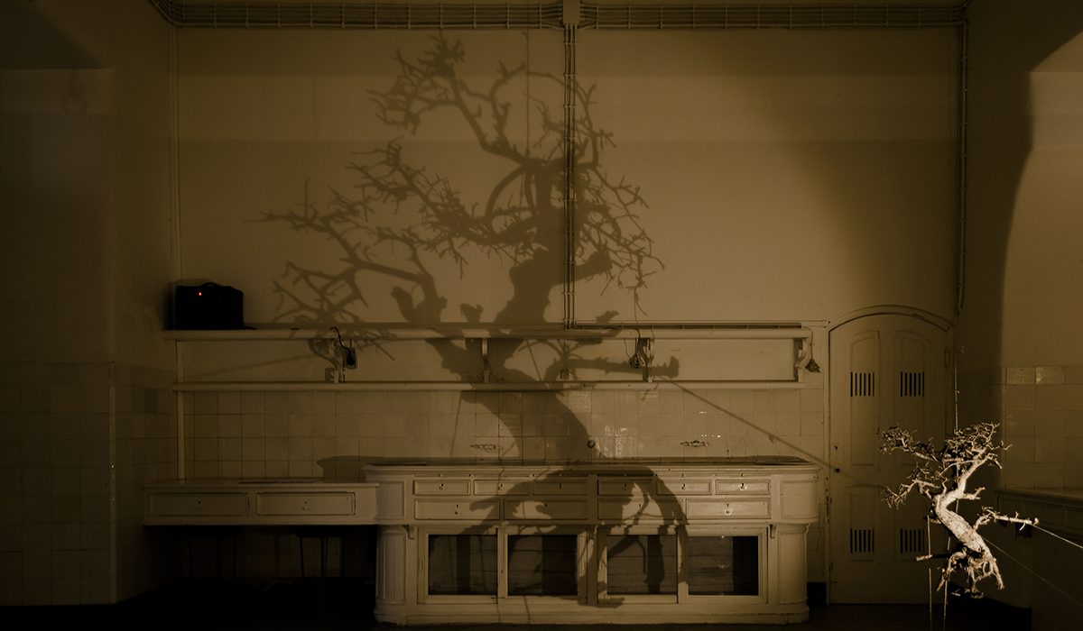 MUHNAC_DSC_0011_edit