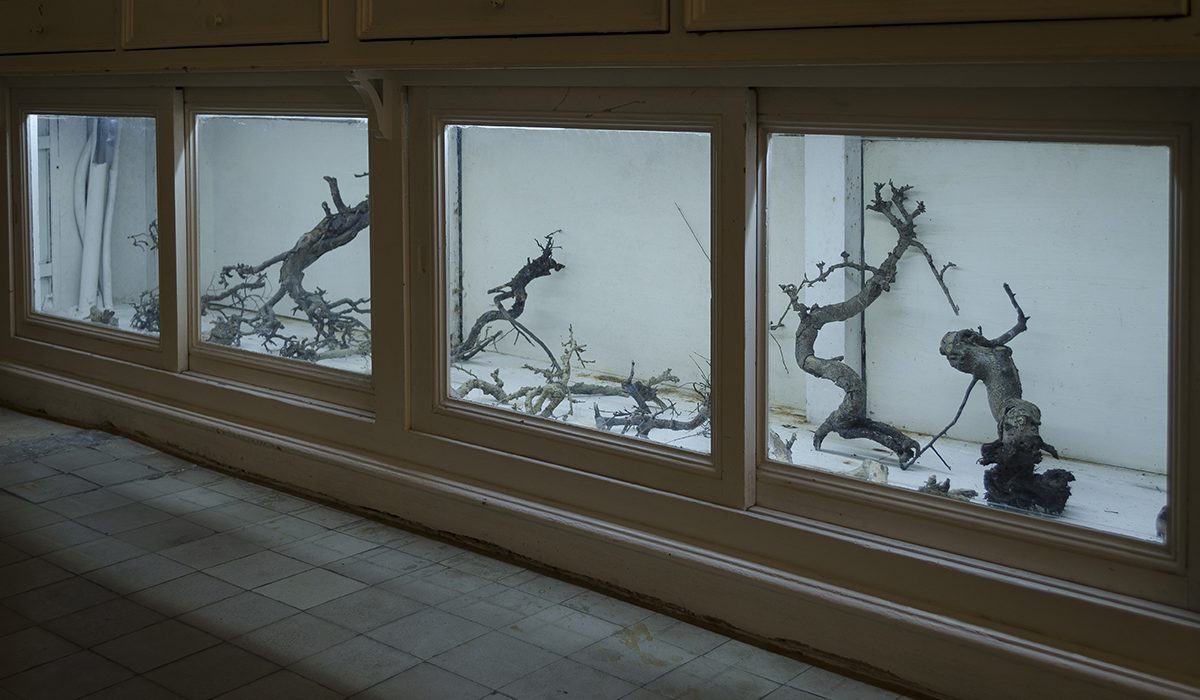 MUHNAC_DSC_0030_edit